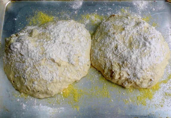 Easy Artisan Roasted Garlic Rosemary Bread dough 2