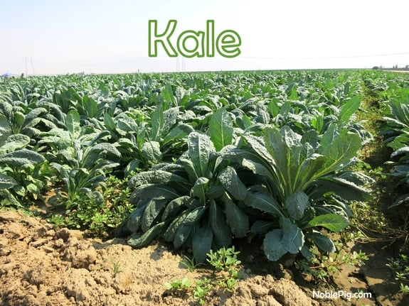 Noble Pig and Cal Organic Kale