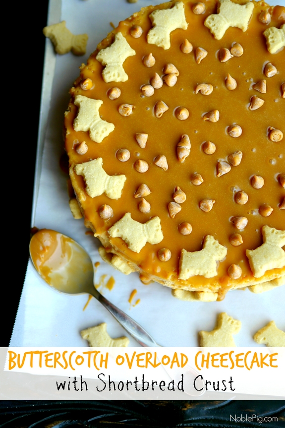 Butterscotch Overload Cheesecake with Shortbread Crust Noble Pig 2