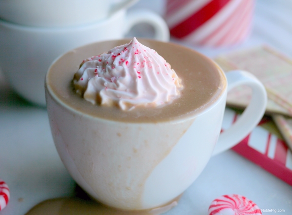 Peppermint Bark Hot Chocolate with Frozen Peppermint Whipped Cream Noble Pig overflow