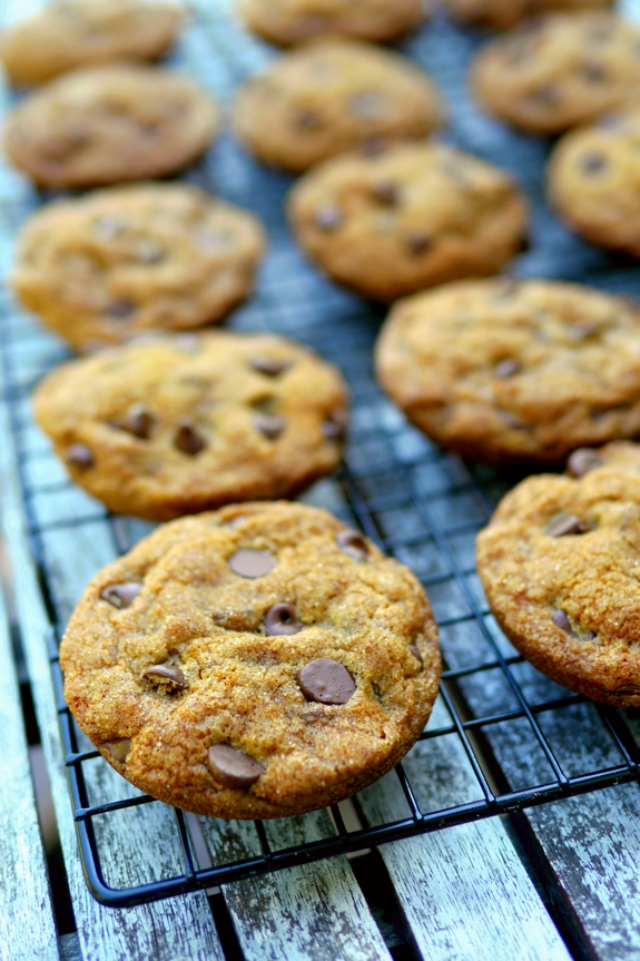 Soft Baked Pumpkin Molasses Chocolate Chip Cookies that have also been rolled in Cinnamon Sugar