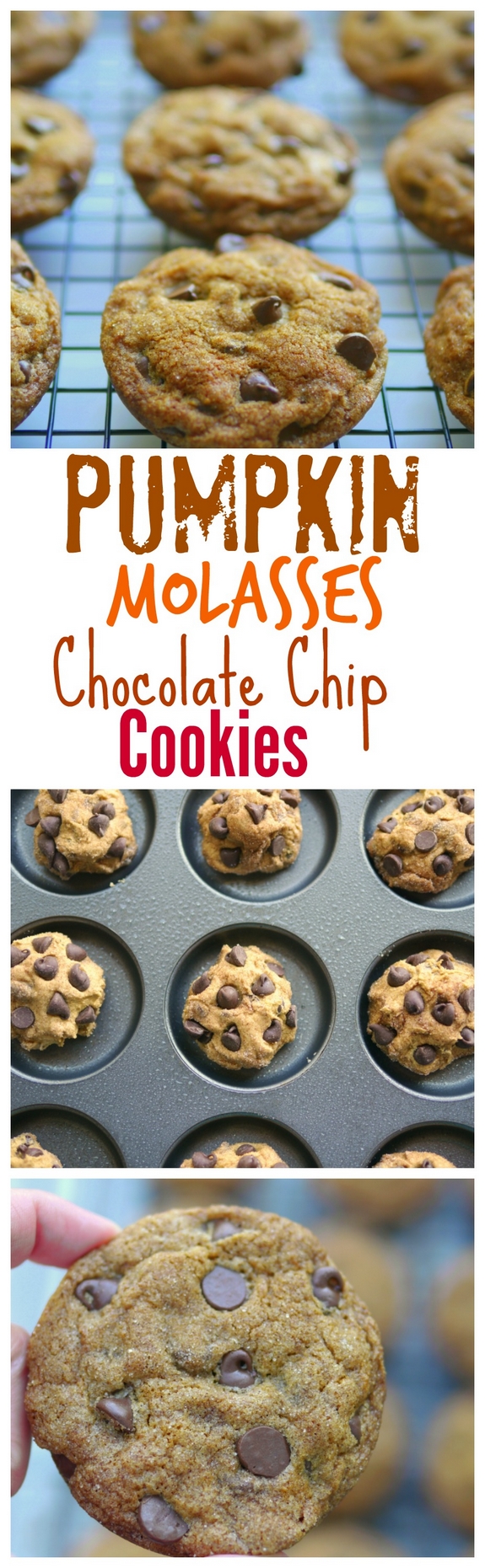 Soft Baked Pumpkin Molasses Chocolate Chip Cookies