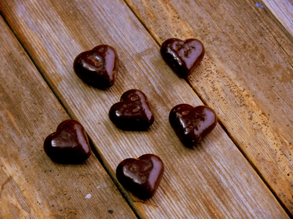 Bleeding Heart Chocolate Chip Bars candy