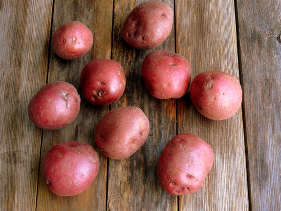 Pressure Cooker Potatoes red potatoes