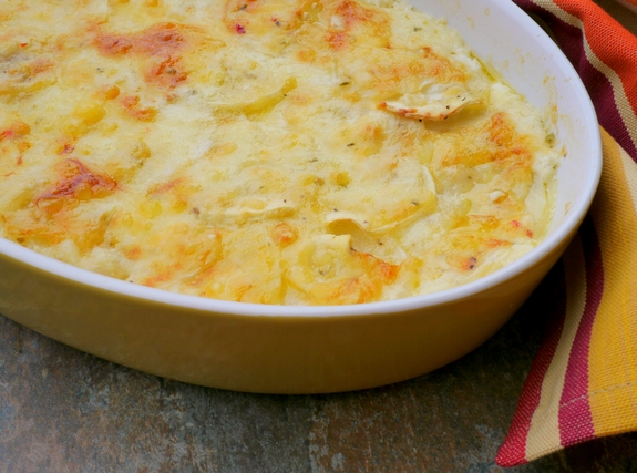 Smokey Turnip and Parsnip Gratin cheesy and delicious  A perfect holiday side dish 