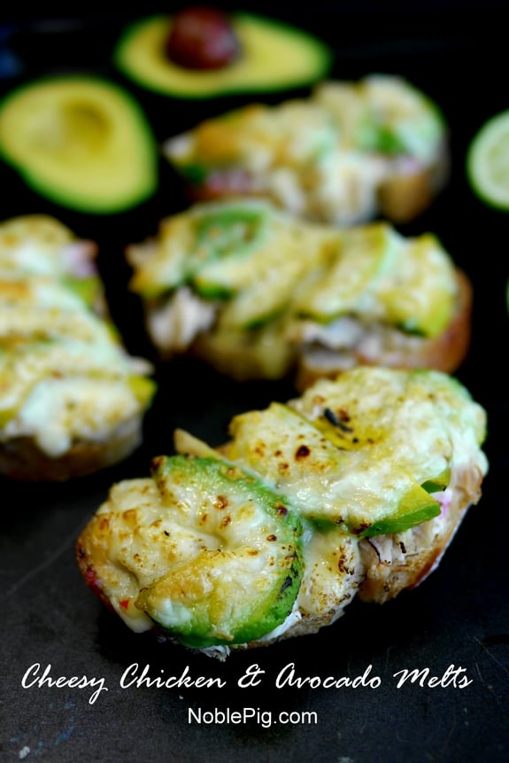 Noble Pig Cheesy Chicken and Avocado Melts