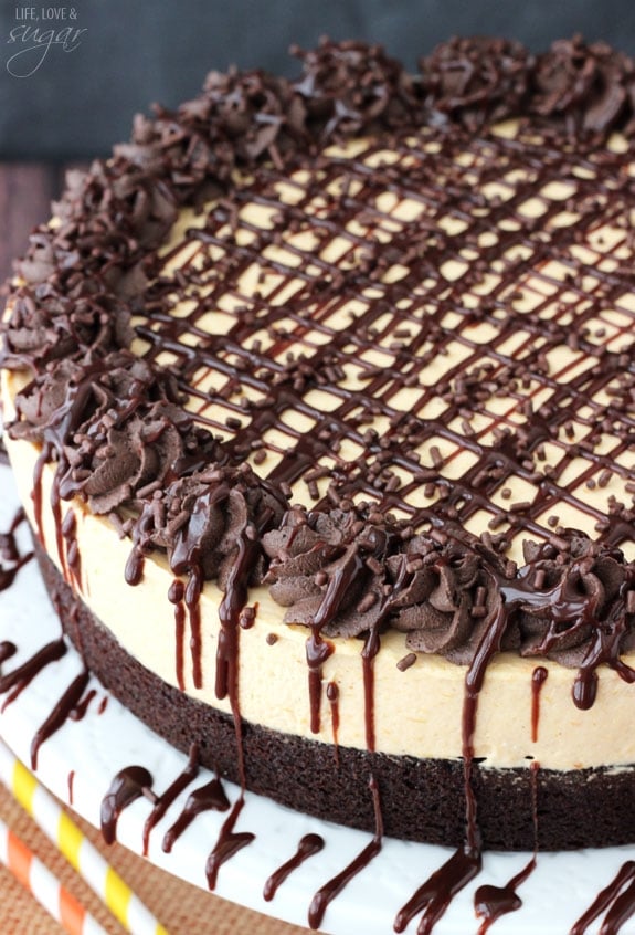 Pumpkin Chocolate Brownie Cheesecake6