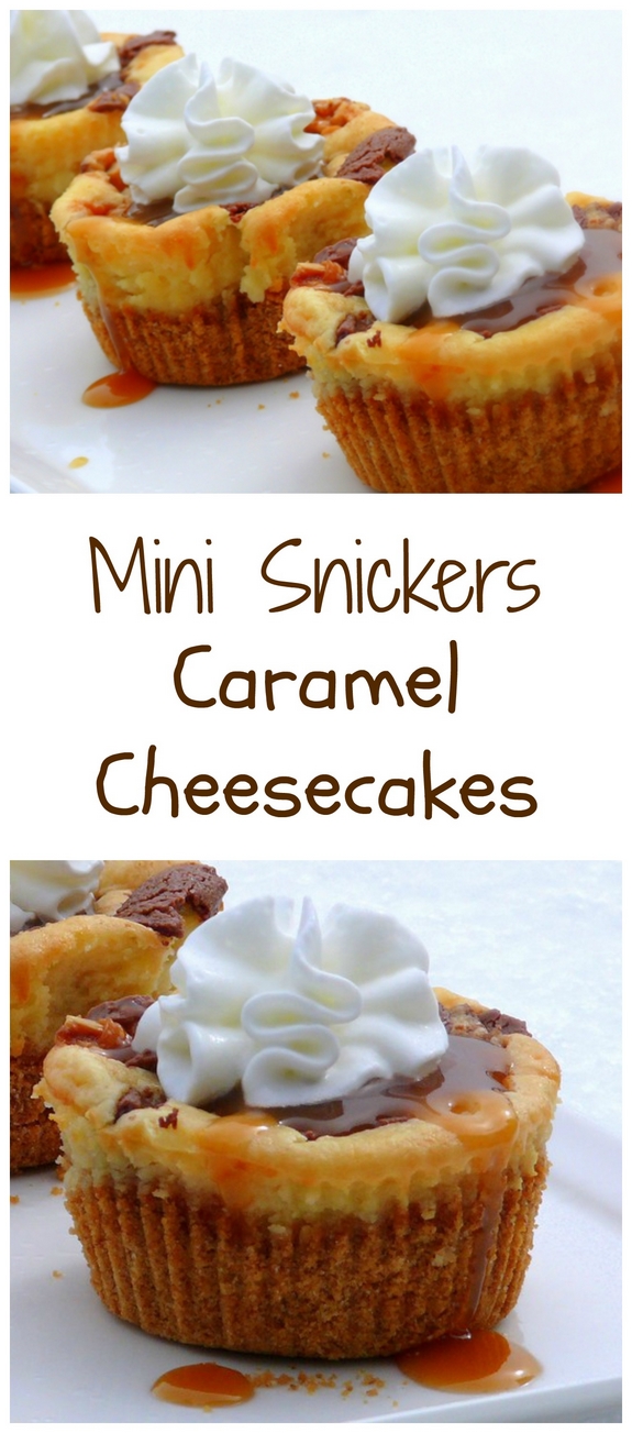 Mini Snickers  Caramel Cheesecakes make a double batch they will disappear 