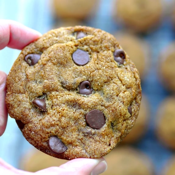 Soft Baked Pumpkin Molasses Chocolate Chip Cookies are delicious