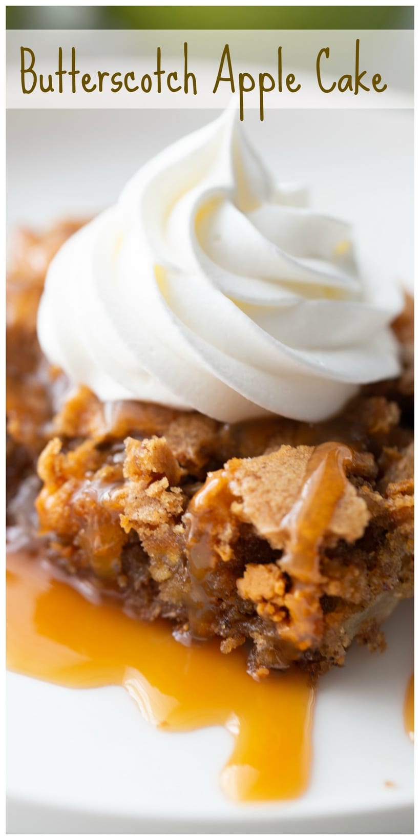 This light and airy apple cake filled with chunks of fresh apples and butterscotch morsels is the ultimate fall season dessert. Each slice finished with a drizzle of caramel and a dollop of whipped cream is decadence you need to experience. via @cmpollak1