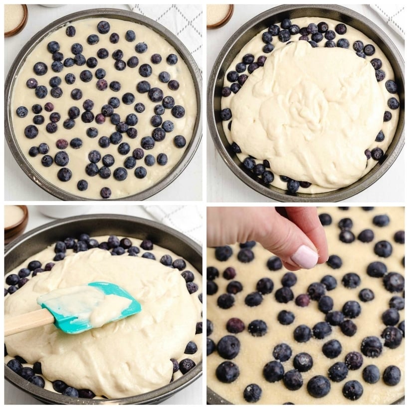 Stuffed with plump blueberries, this Loaded Blueberry Coffee Cake is soft, sweet and topped with turbinado sugar for a crunchy crust. The perfect tender cake for breakfast or brunch. #blueberry #blueberrycoffeecake #coffeecake #easterbrunch #brunchrecipe #easybrunchrecipes #blueberries