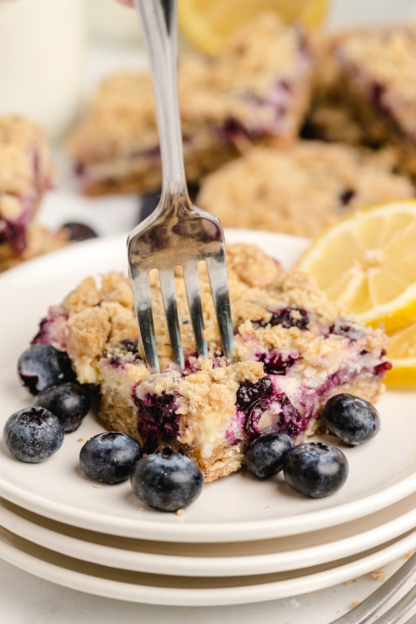 Blueberry Streusel Bars with Lemon-Cream Filling are a foolproof recipe, made especially to persuade the dessert averse. These tempting bars highlight the addictive balance of tart and sweet - crunchy and chewy when it comes to indulging in a sweet treat.