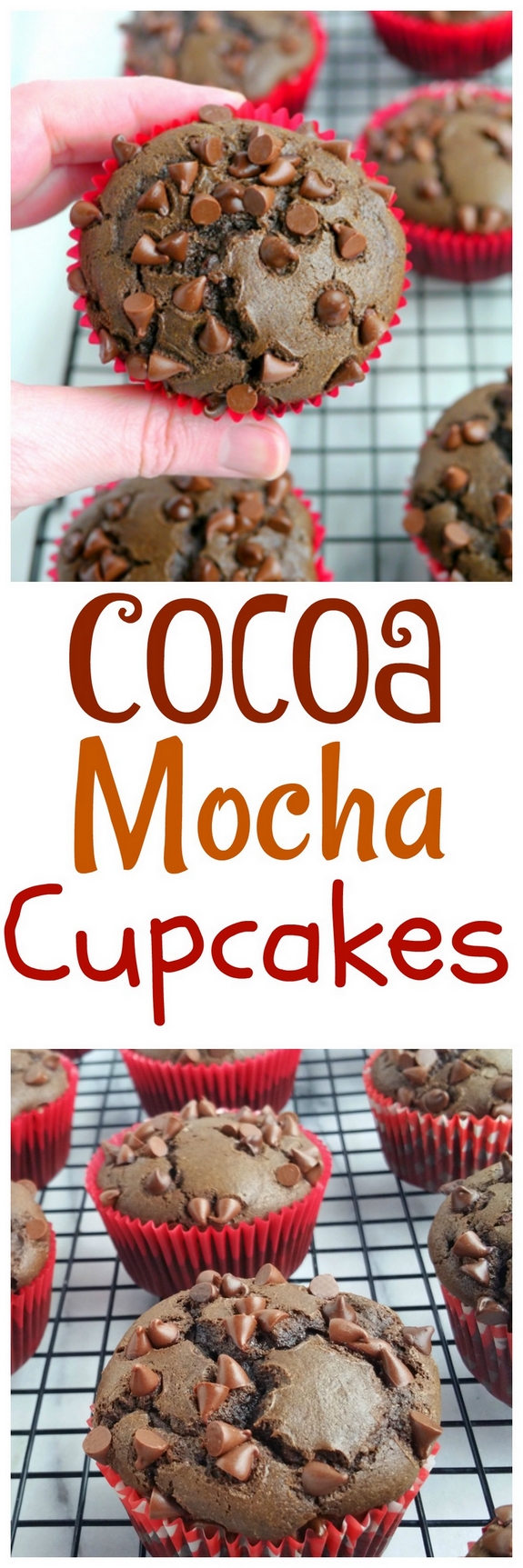 Cocoa Mocha Cupcakes 