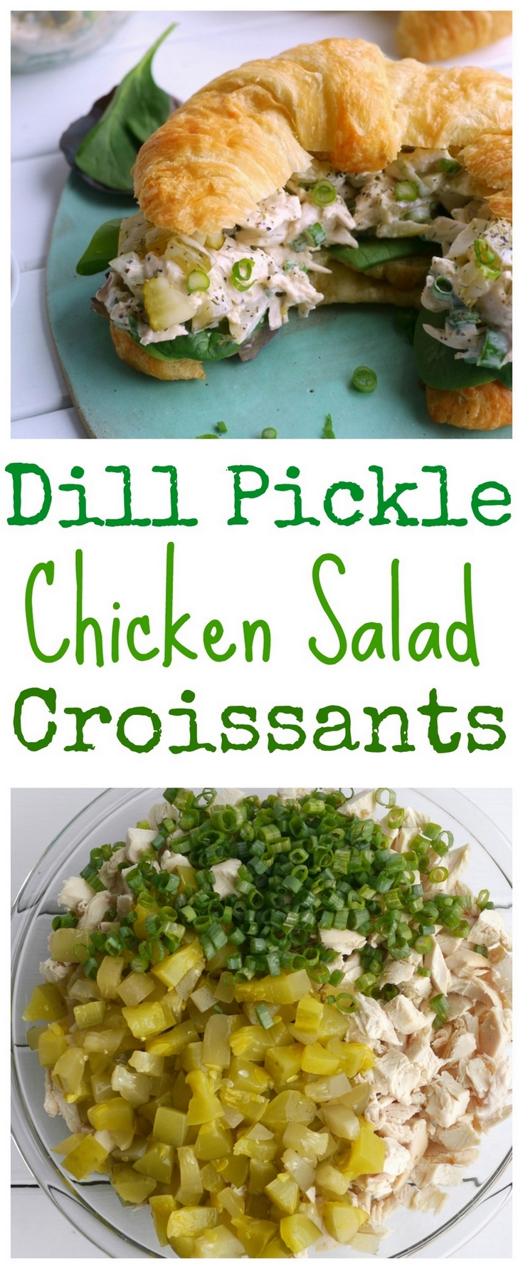 Since I am truly a dedicated pickle lover, these Dill Pickle Chicken Salad Croissants have become a fast favorite. It's perfect for lunch or a light dinner and keeps for several days in the fridge. I promise you are going to love the flavor, from NoblePig.com.

 via @cmpollak1