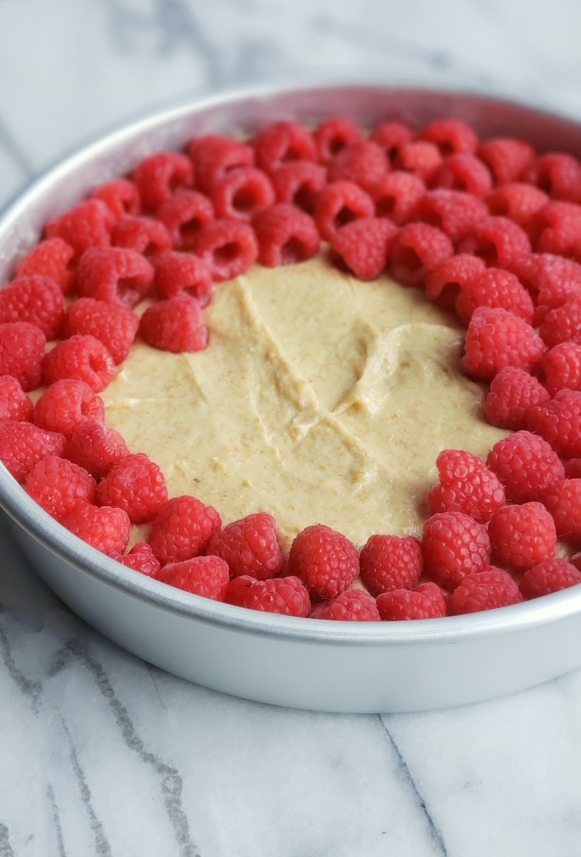 Single layer of raspberries on top of cake batter in a baking pan.