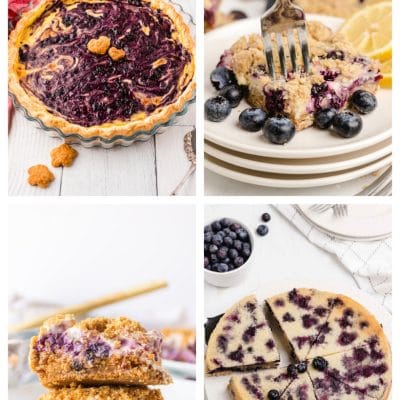 summer blueberry recipes