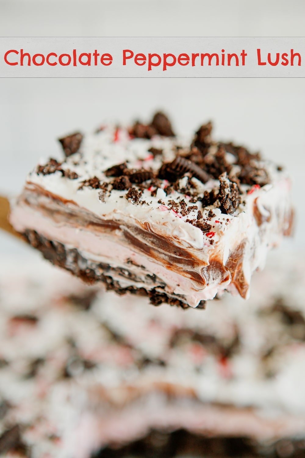 Creamy, delicious layers make this Chocolate Peppermint Lush the perfect no-bake, festive holiday dessert to enjoy with family and friends this season. via @cmpollak1