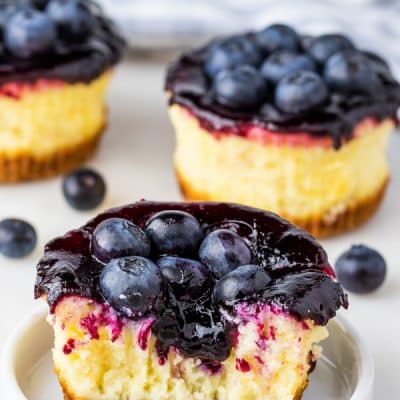 mini blueberry cheesecake