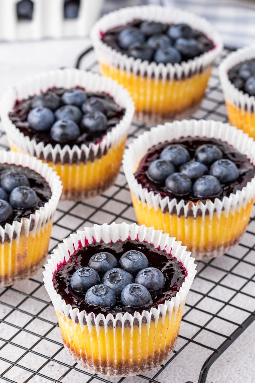 blueberry cheesecake cupcakes