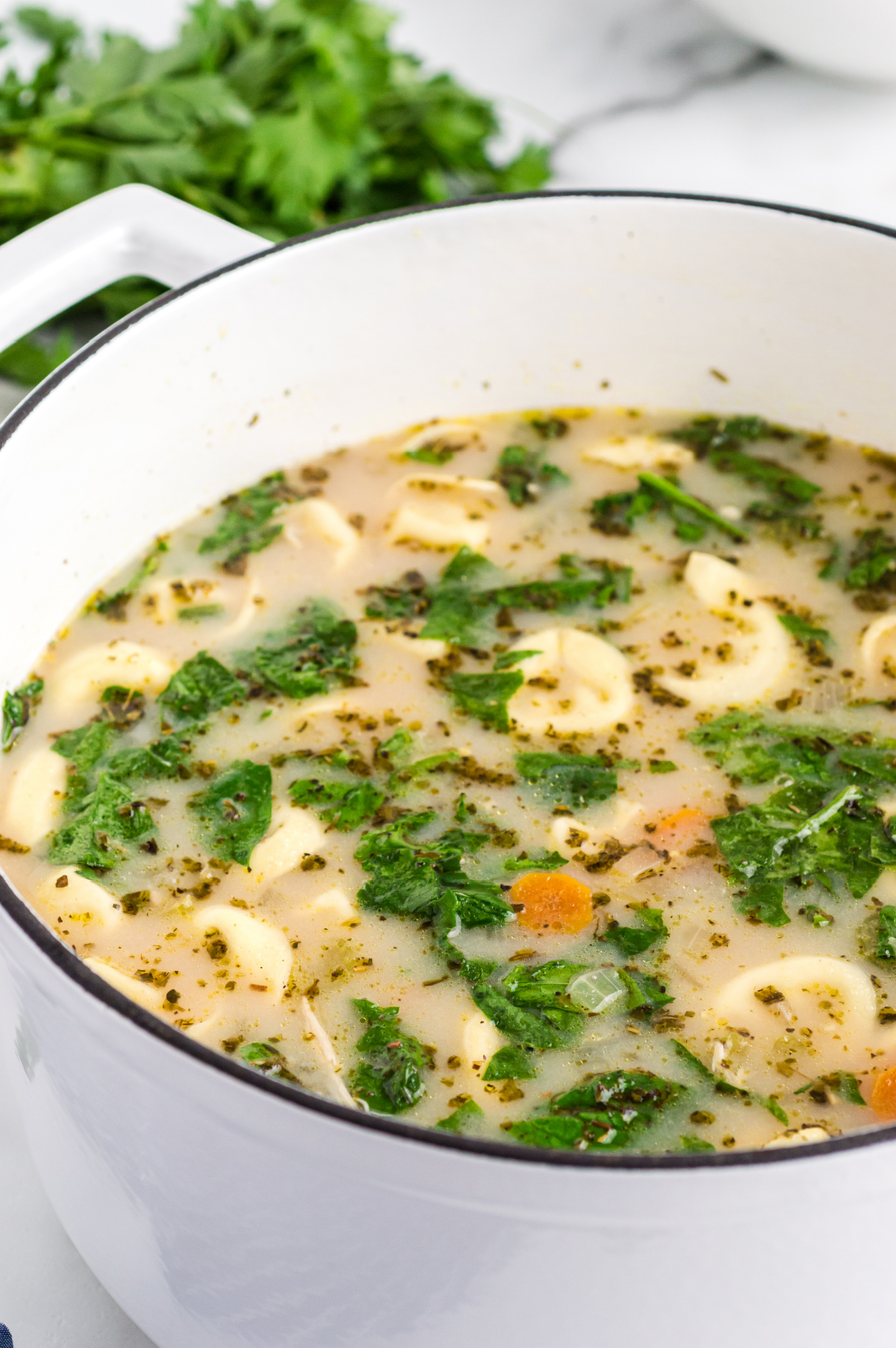 A full pot of chicken tortellini soup with cheese tortellini, carrots, spinach, herbs, and shredded chicken in a light broth.