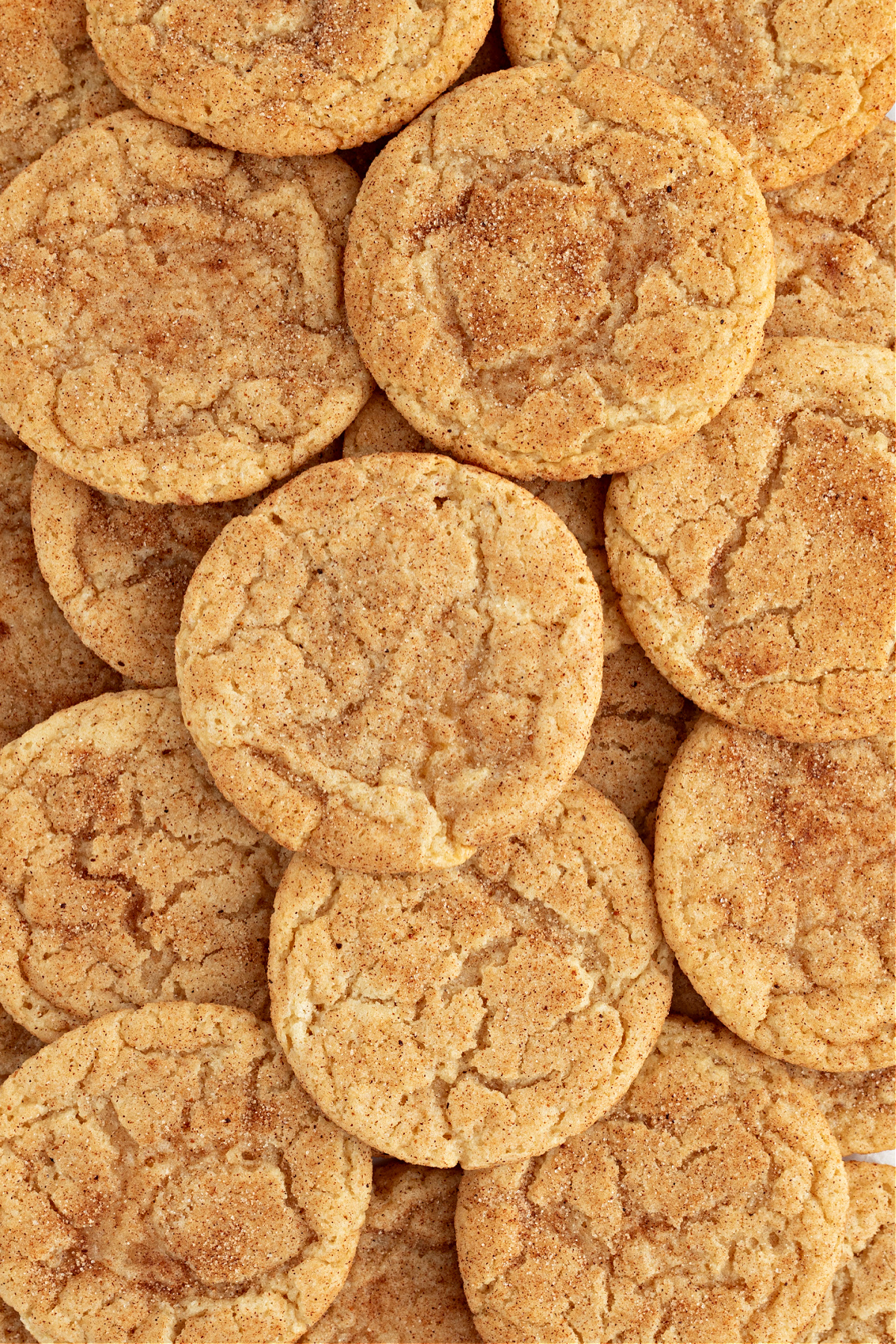 Overlapping snickerdoodle cookies dusted with cinnamon sugar, showing their soft centers and slightly crisp edges.