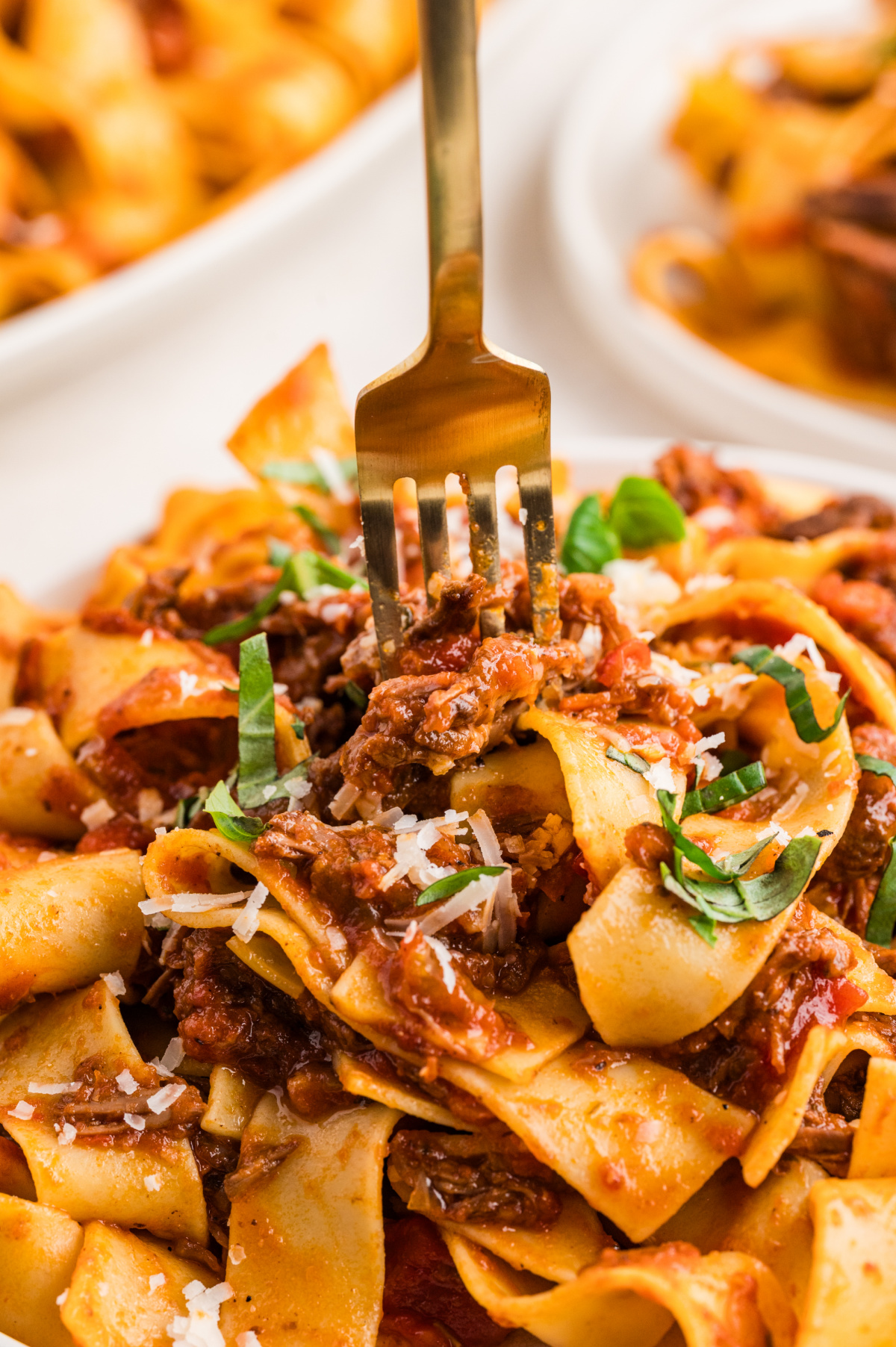 A fork lifting tender shredded beef rag&ugrave; and wide pappardelle ribbons, coated in a rich tomato sauce with basil and parmesan.