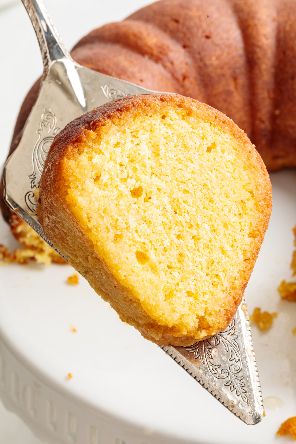 Italian Hangover Cake slice lifted from the Bundt showing the dense citrus almond crumb.