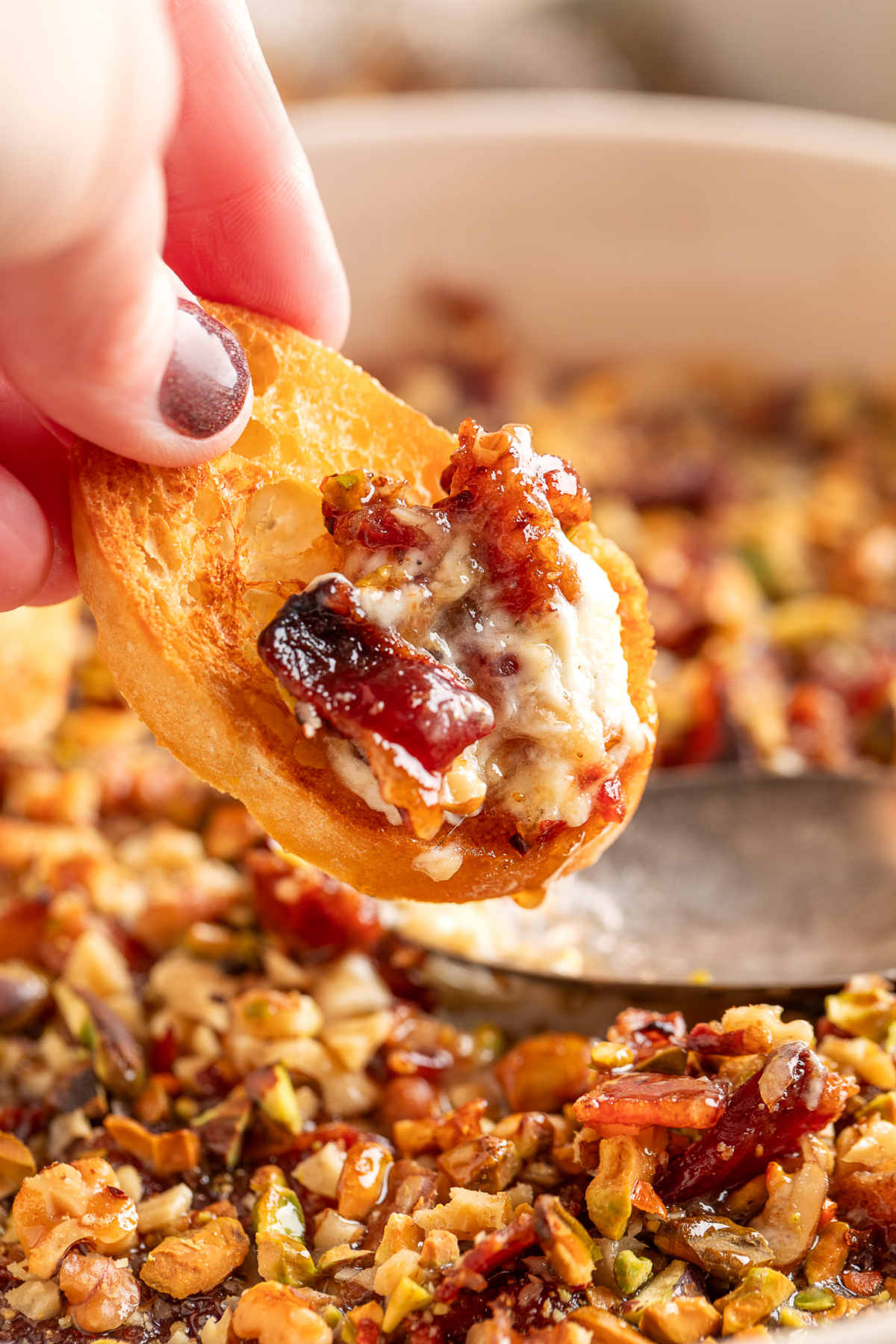 A toasted crostini scooping up Boursin Bacon Pistachio & Fig Dip with melted cheese, fig preserves, bacon, and chopped nuts.