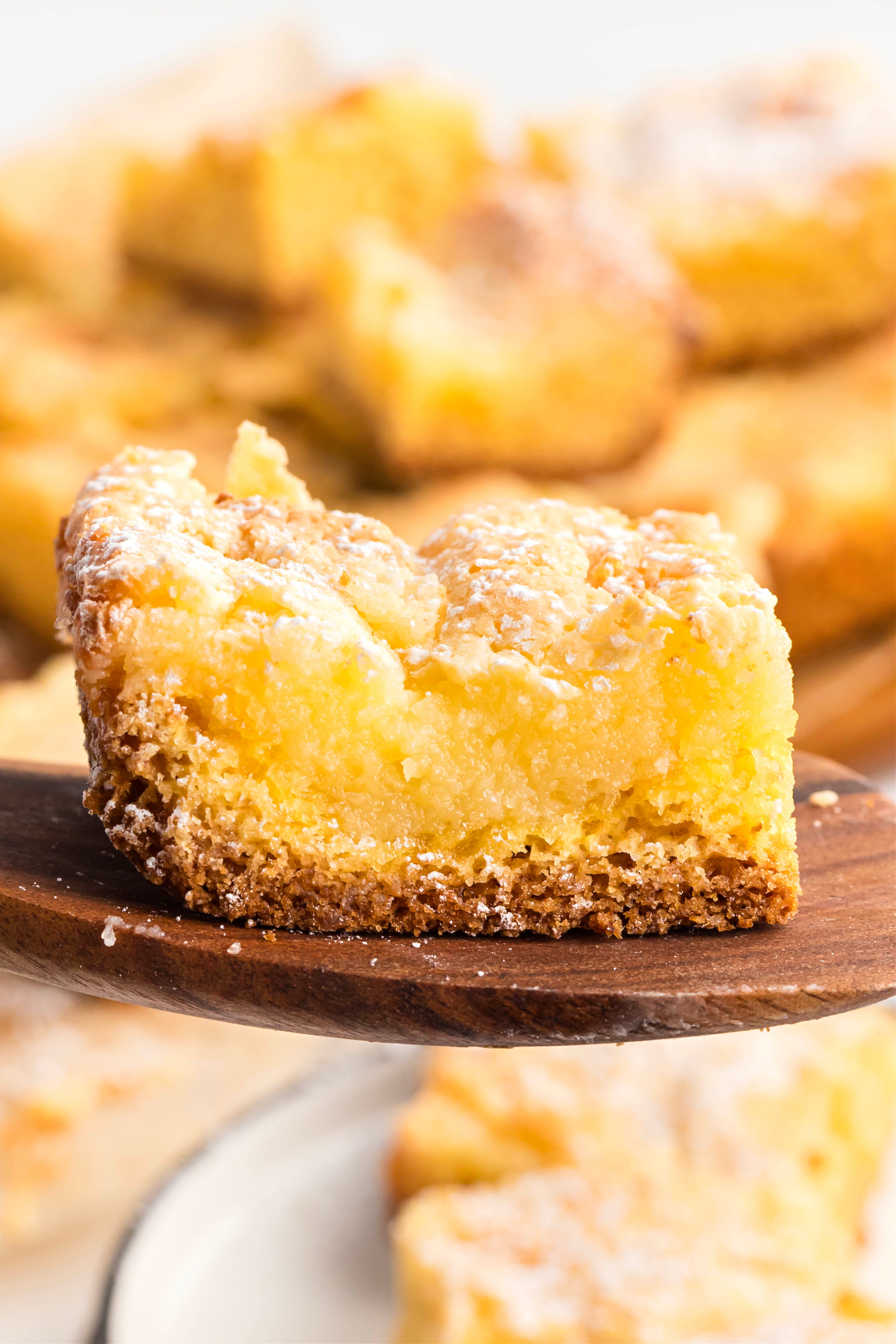 A close-up slice of Neiman Marcus cake resting on a wooden spatula, showing the soft cream cheese layer over a dense cake base with a dusting of confectioners&rsquo; sugar.