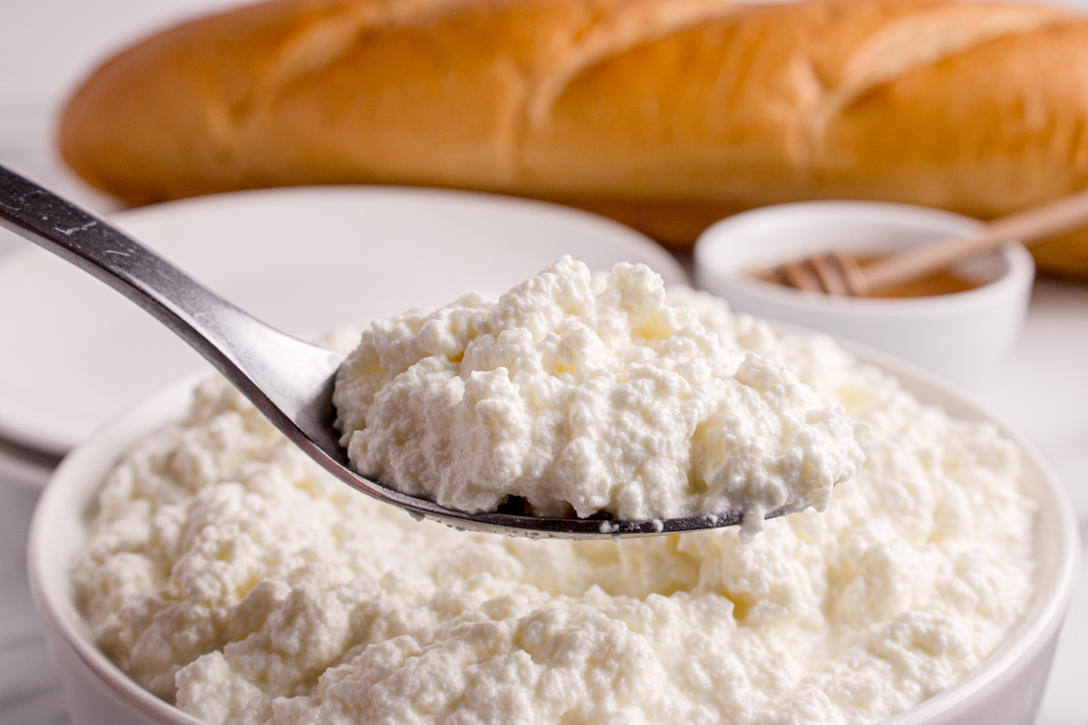 Spoonful of homemade ricotta cheese showing soft, fresh curds