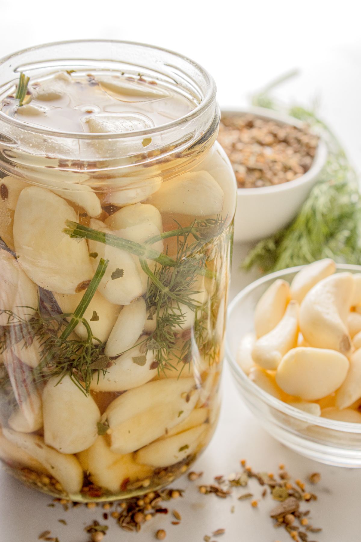 Garlic cloves packed in vinegar brine with fresh dill and pickling spice