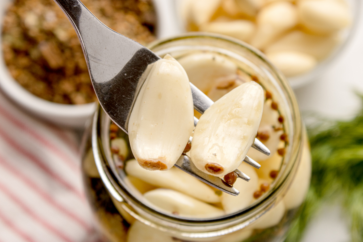 Close-up of Pickled Dill Garlic cloves lifted from jar with fork