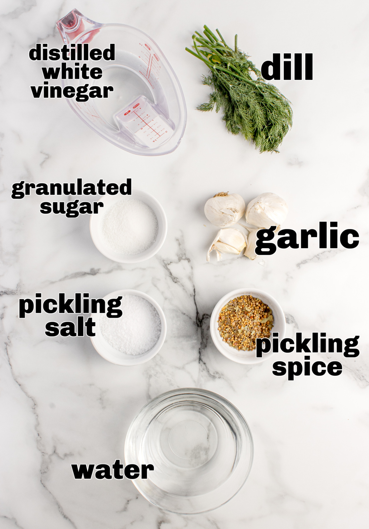 Ingredients for refrigerator pickled garlic including vinegar, dill, garlic, salt, sugar, and pickling spice