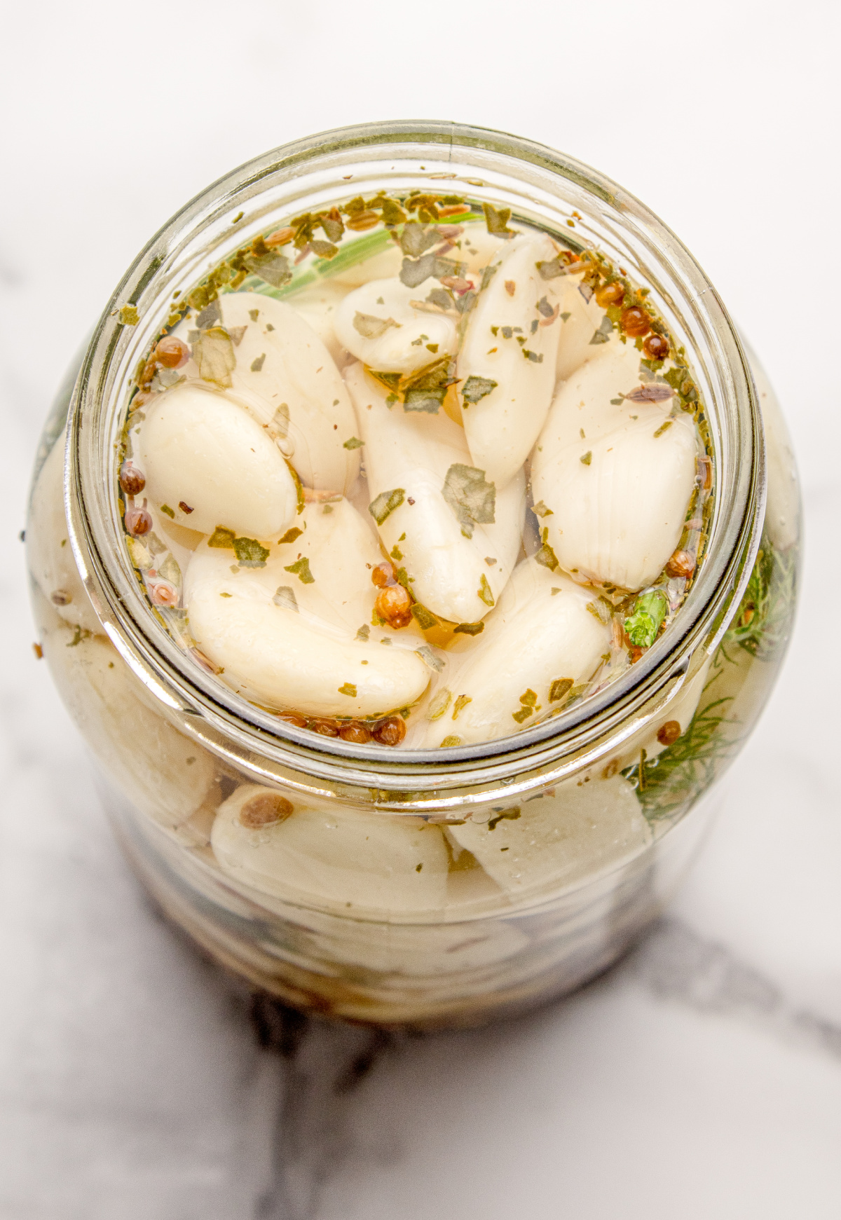 Top view of garlic cloves in vinegar brine with dill and spices