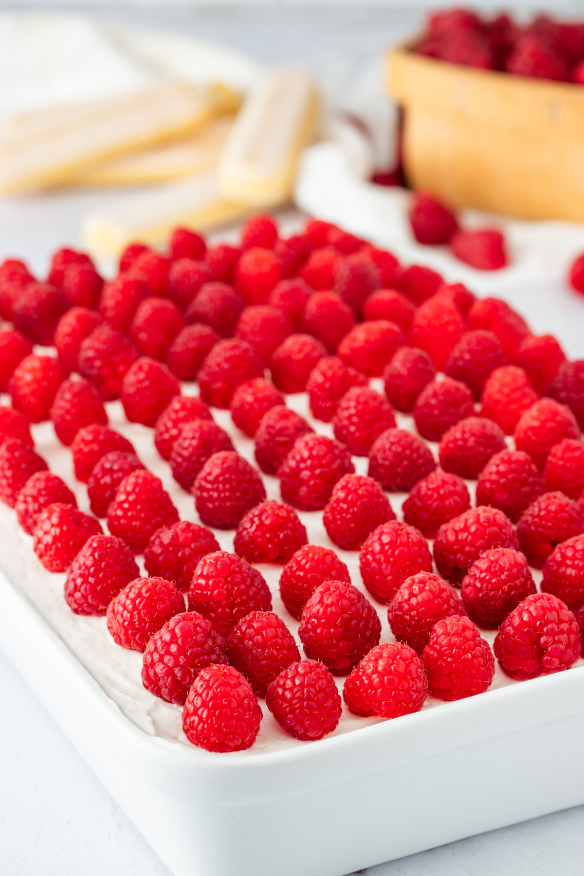 Overhead view of raspberry tiramisu topped with fresh raspberries in neat rows