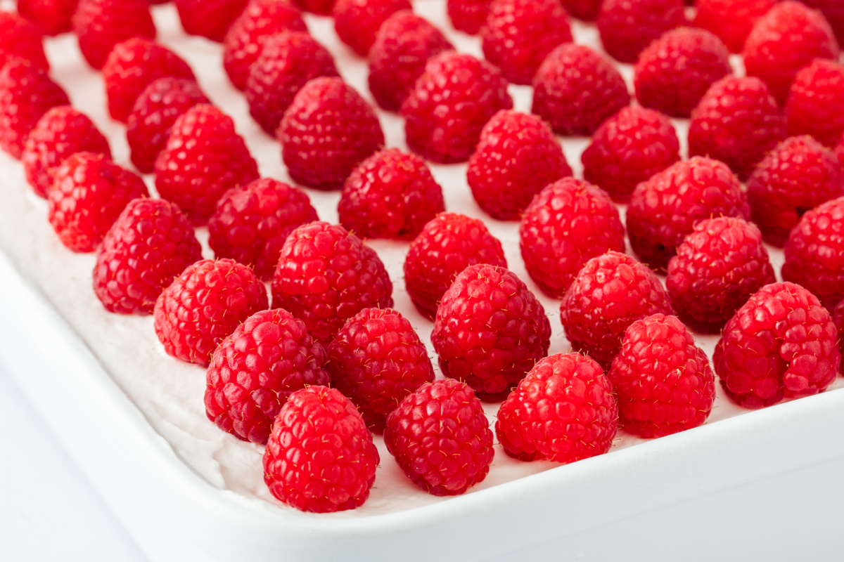Raspberry tiramisu topped with fresh raspberries arranged in neat rows before chilling