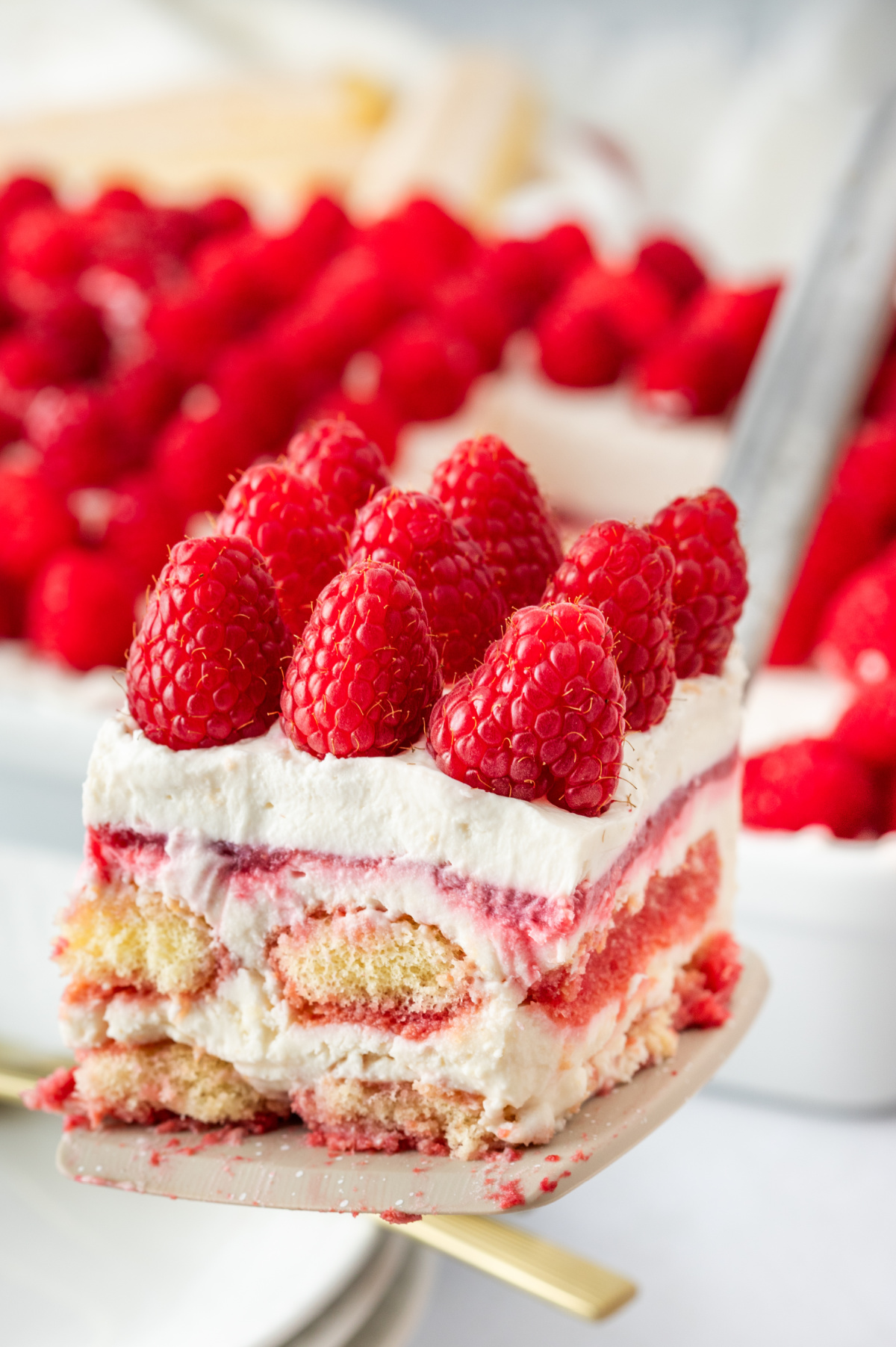 Slice of raspberry mascarpone tiramisu served on a spatula with visible layers and fresh raspberries