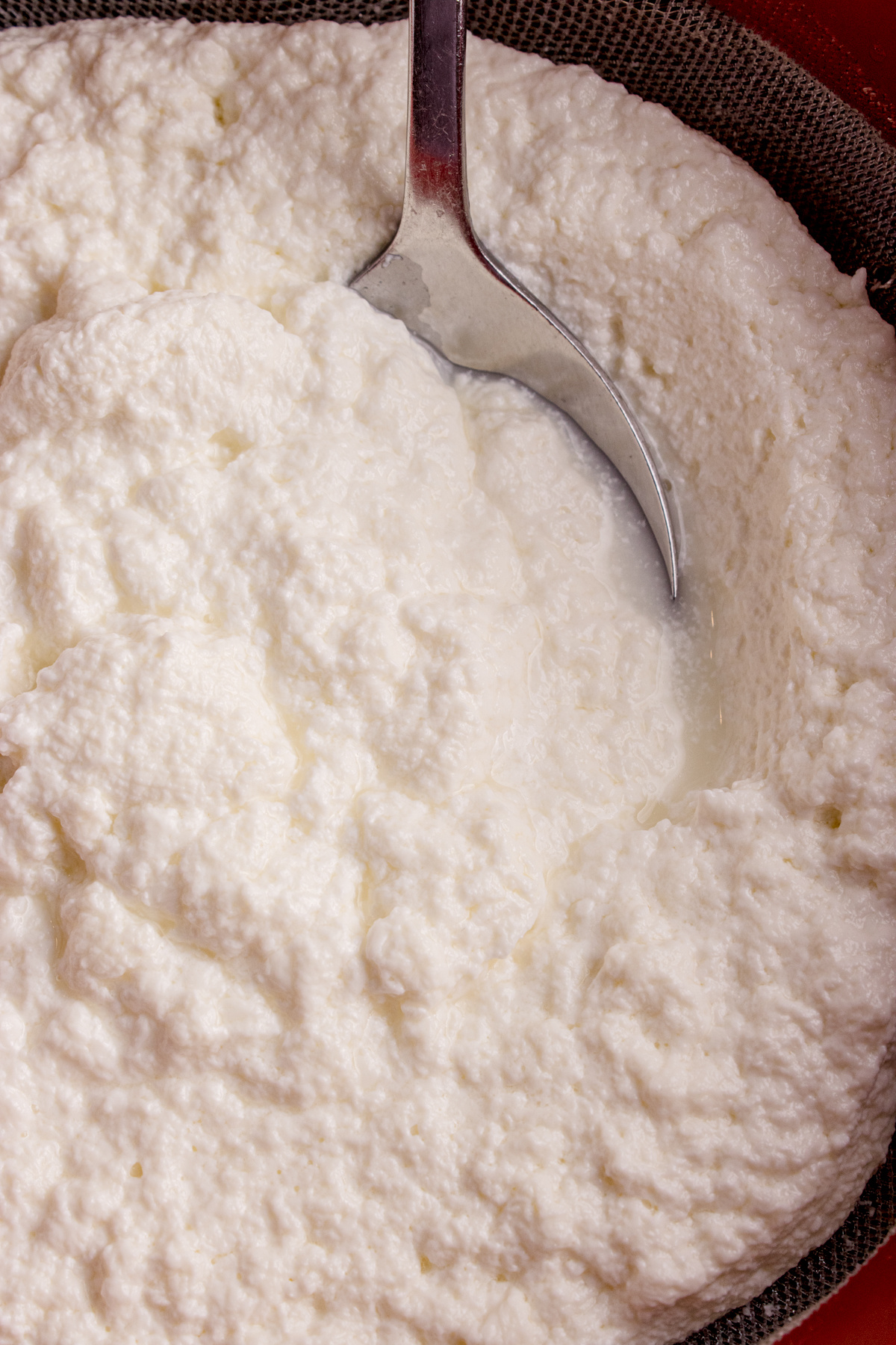 Soft homemade ricotta cheese draining in a strainer