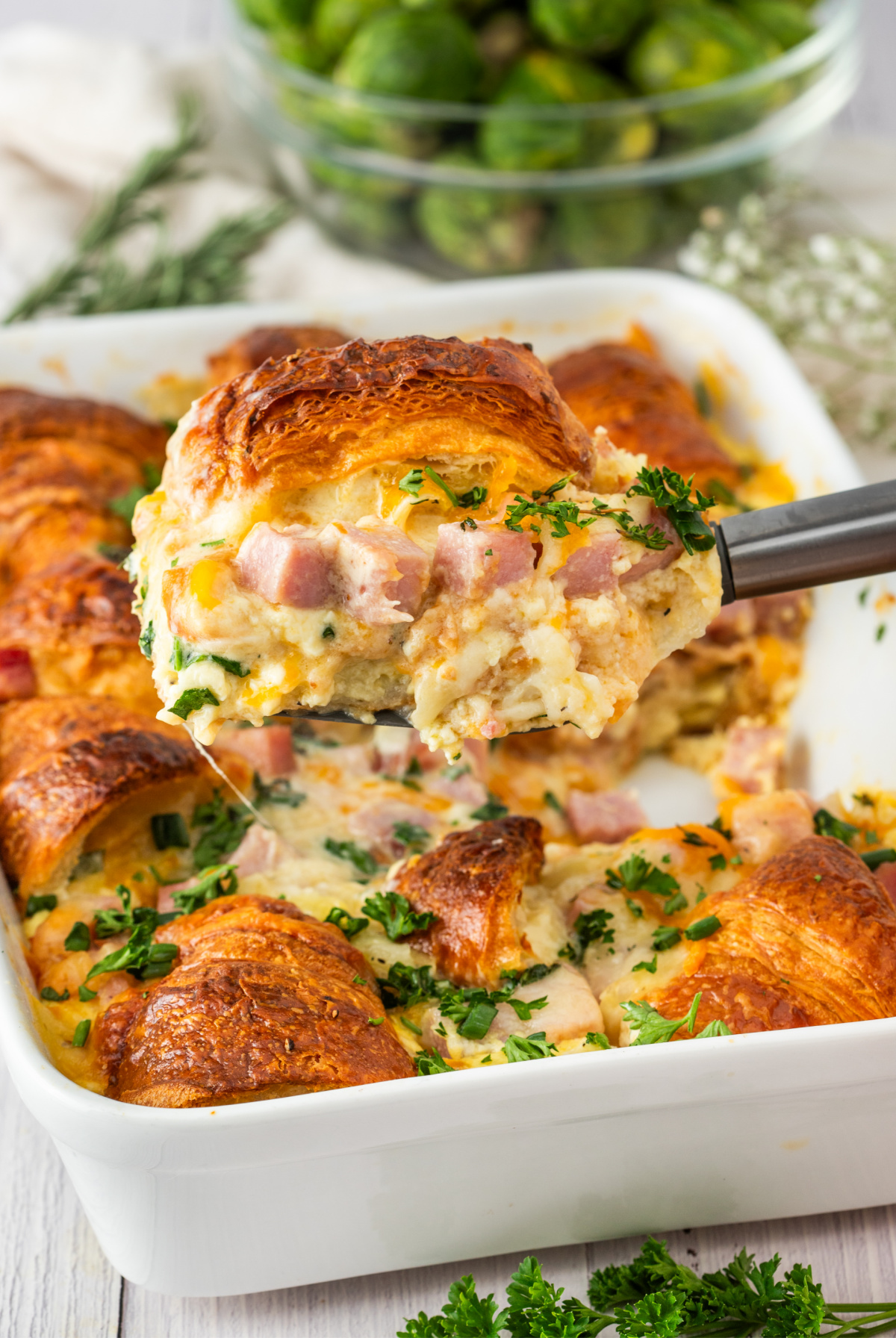 ham and cheese croissant breakfast bake served from a white baking dish with golden croissants, melted cheese, diced ham, and fresh herbs