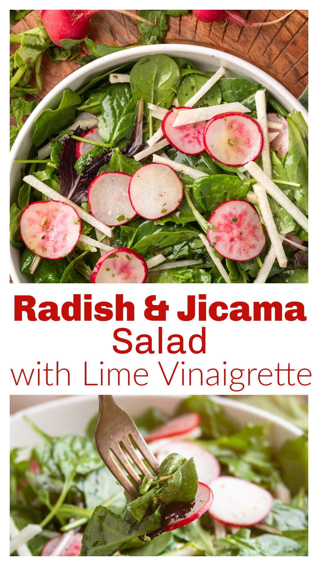 Radish and jicama salad with lime vinaigrette, crisp greens, and fresh flavor. This crunchy salad is made with sliced radishes, jicama, and a light lime dressing with cilantro, cumin, and oregano. A perfect Cinco de Mayo side dish for tacos, grilled chicken, seafood, or any warm-weather meal when you want something fresh and crisp. via @cmpollak1