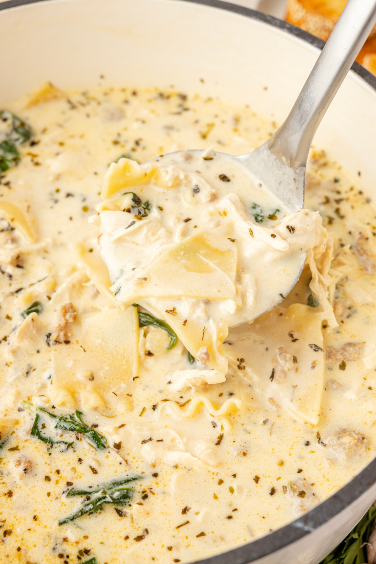 Creamy lasagna soup with ricotta, sausage, chicken, and lasagna noodles in white broth Creamy lasagna soup with ricotta, chicken, sausage, spinach, and broken lasagna noodles in a creamy white broth