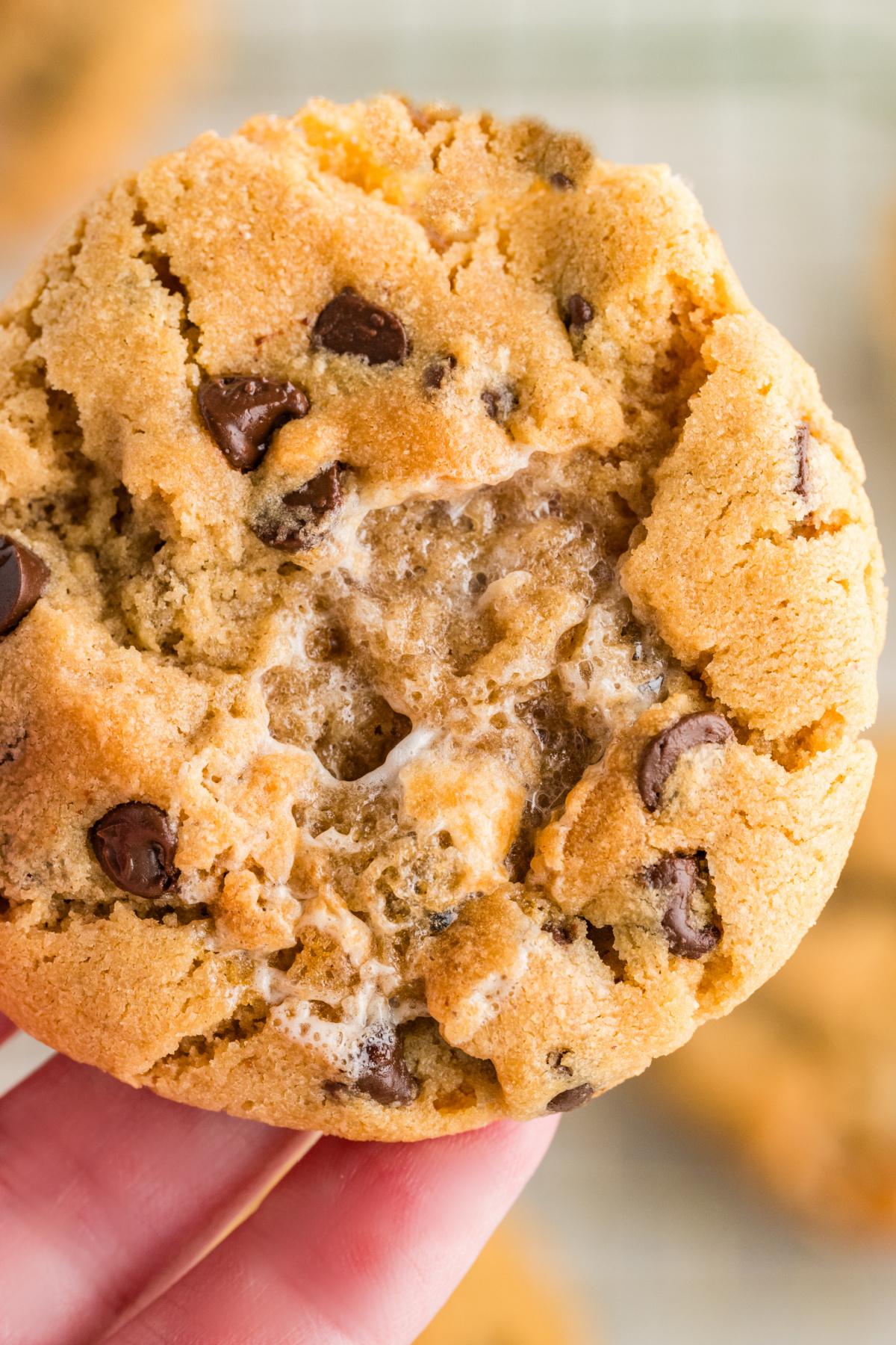 Gooey Marshmallow Center in Peanut Butter Cookies Close-up of peanut butter marshmallow cookies with a gooey toasted marshmallow center and mini chocolate chips.