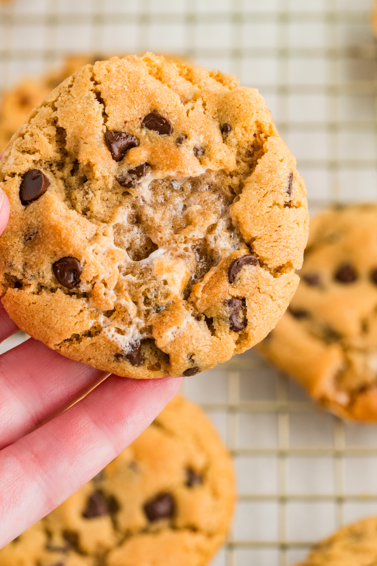 Peanut Butter Marshmallow Cookies Peanut butter marshmallow cookies with toasted marshmallow pockets and mini chocolate chips held in hand over a cooling rack.