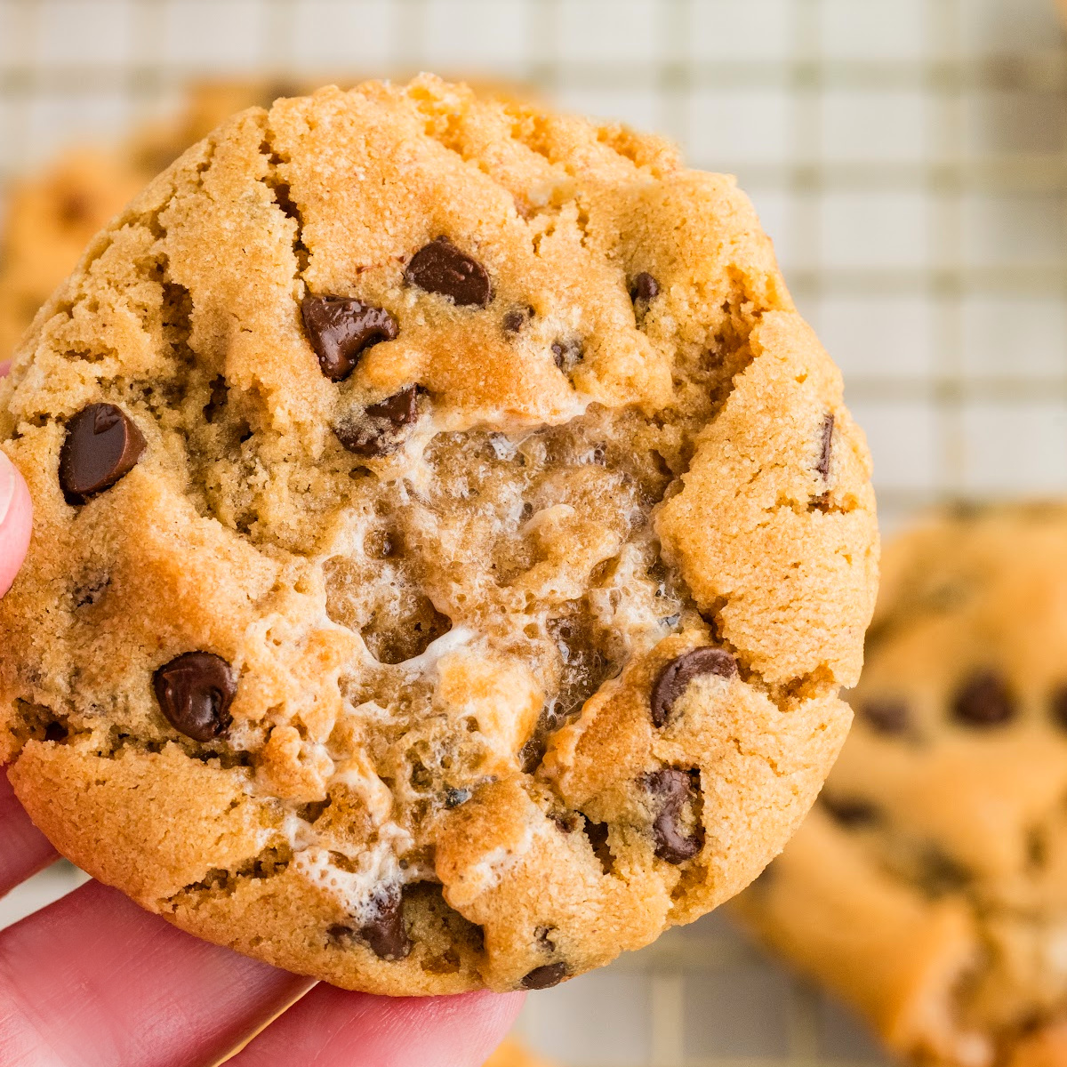 Peanut butter marshmallow cookies with toasted marshmallow pockets and mini chocolate chips.