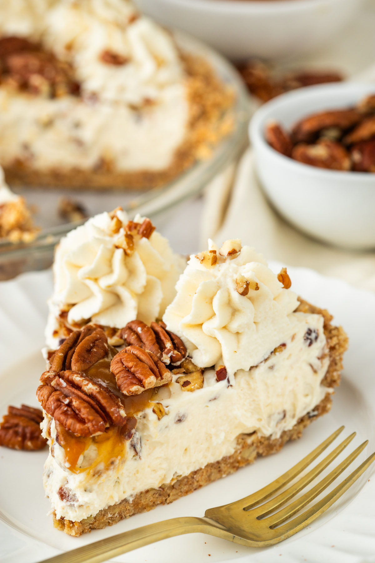 Pecan Cream Pie Slice of pecan cream pie with toasted pecans, caramel drizzle, whipped cream, and a pecan crust
