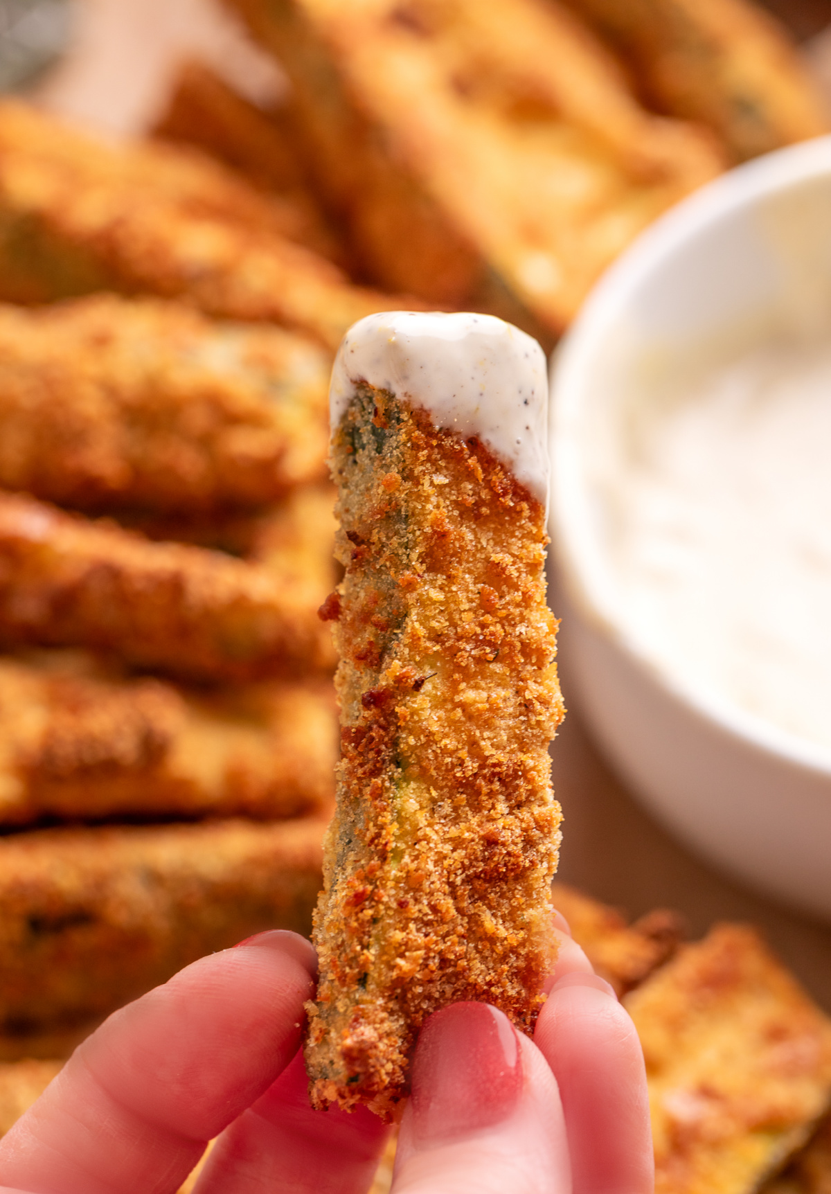 Air Fryer Zucchini Fries with Lemon Garlic Aioli Hand holding an Air Fryer Zucchini Fry in front of homemade lemon garlic aioli.