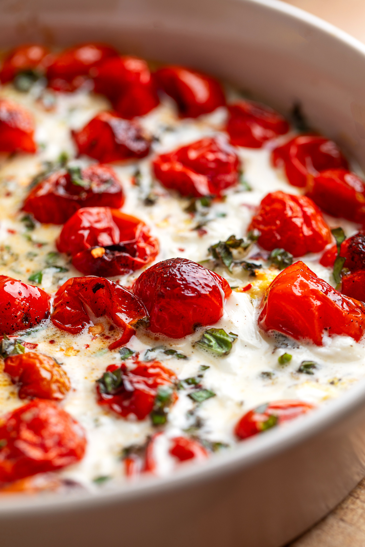 Close-up of warm Roasted Tomato Burrata Dip. Close-up of Roasted Tomato Burrata Dip with blistered grape tomatoes, melted burrata, fresh basil, and roasted tomato juices.