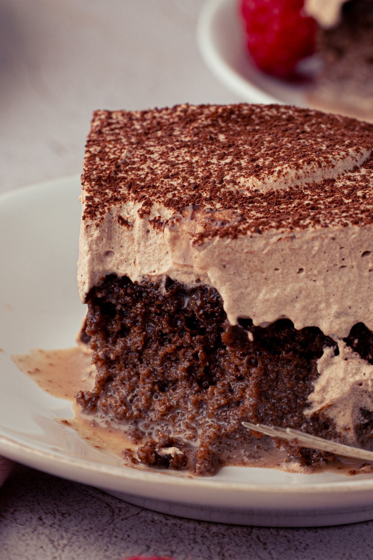 Close-up showing the three-milk soak throughout the chocolate cake. Close-up of milk-soaked chocolate cake topped with a thick layer of chocolate whipped cream and cocoa powder.