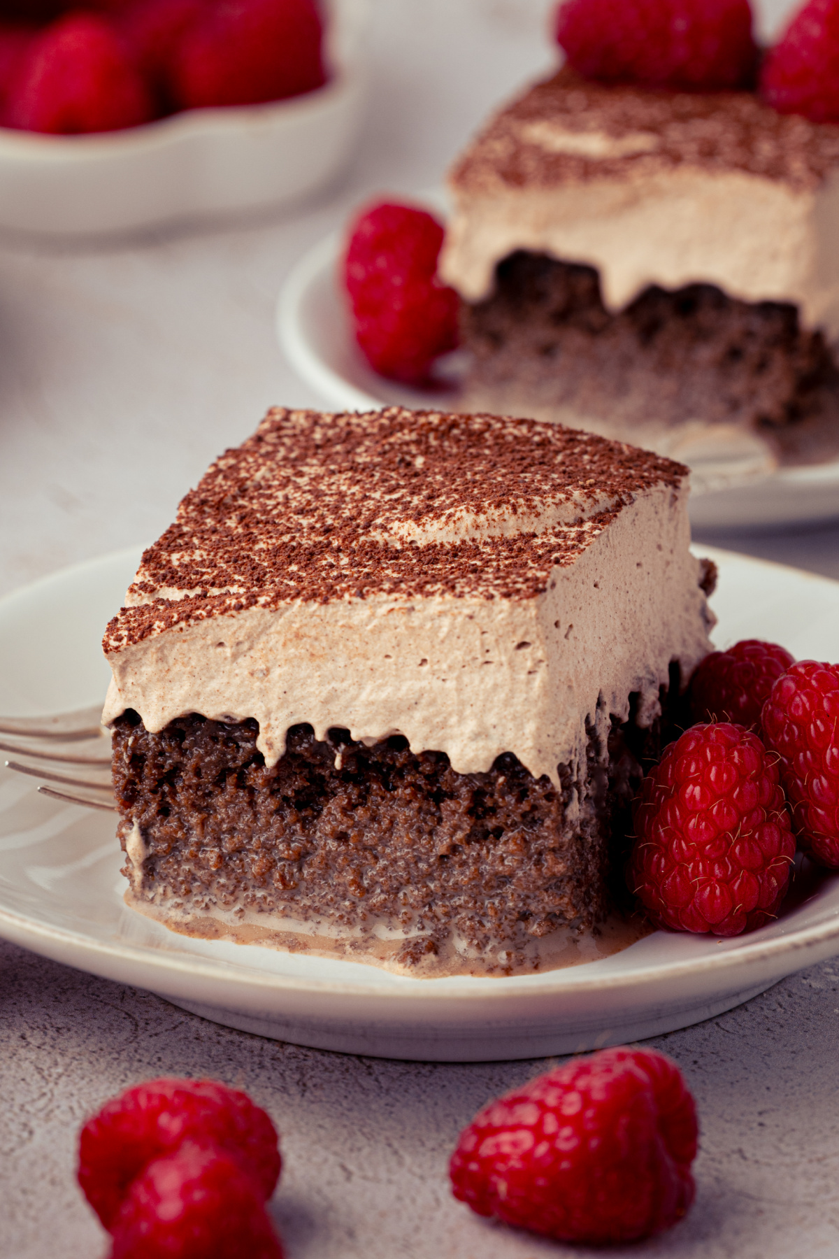 Chocolate tres leches cake with three-milk cocoa soak and chocolate whipped cream. Chocolate tres leches cake topped with chocolate whipped cream and cocoa powder, served with fresh raspberries.