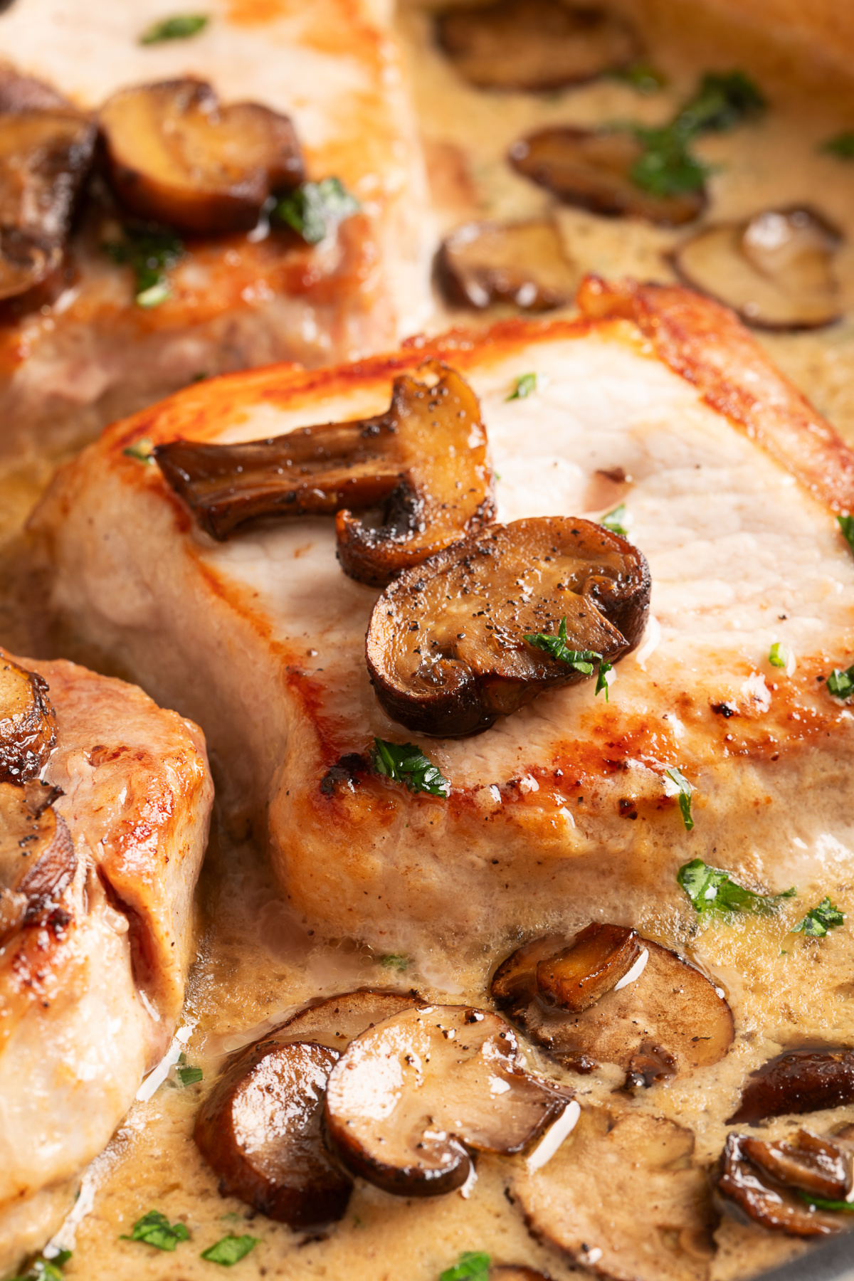 Close-up of a seared boneless pork chop topped with browned mushrooms over sage cream sauce. Creamy mushroom pork chops topped with deeply browned roasted baby portobello mushrooms